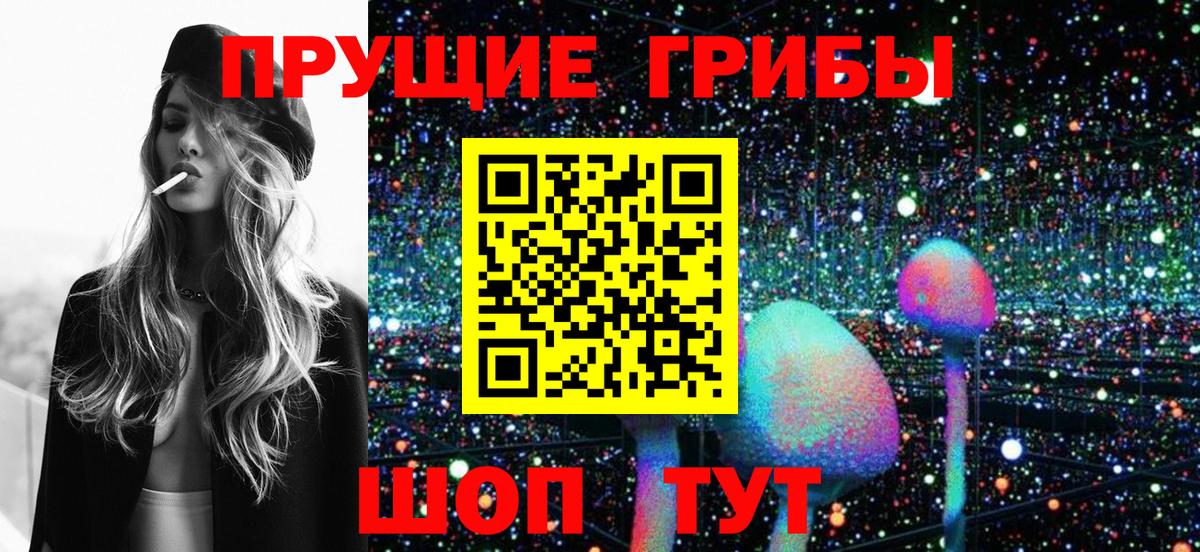 Галлюциногенные грибы GOLDEN TEACHER Тейково